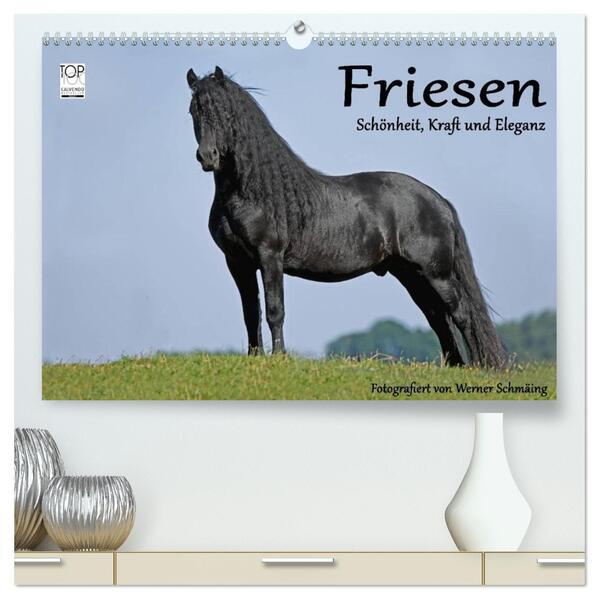 Friesen - Schönheit Kraft und Eleganz (hochwertiger Premium Wandkalender 2026 DIN A2 quer) Kunstdruck in Hochglanz