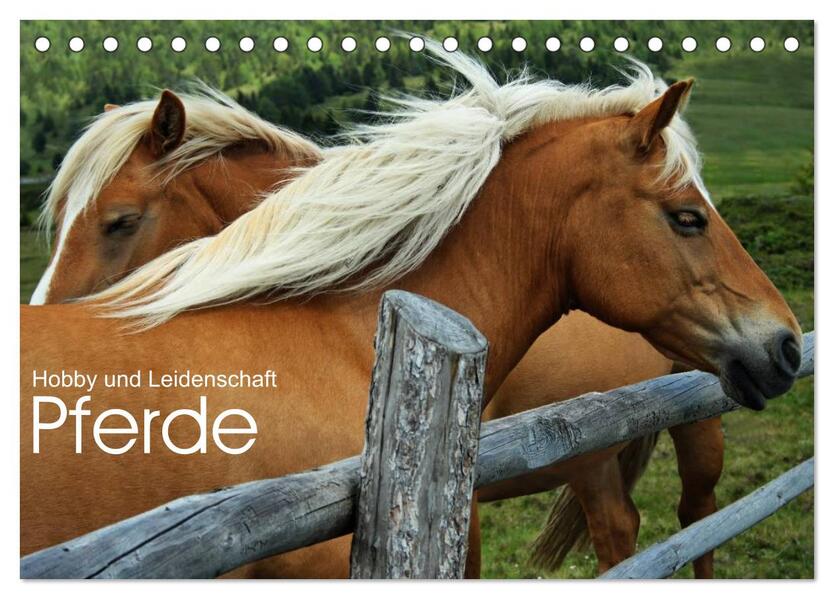 Pferde - Hobby und Leidenschaft (Tischkalender 2026 DIN A5 quer) CALVENDO Monatskalender