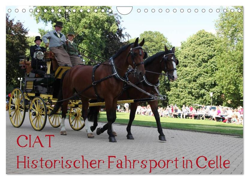 CIAT - Historischer Fahrsport in Celle (Wandkalender 2026 DIN A4 quer) CALVENDO Monatskalender