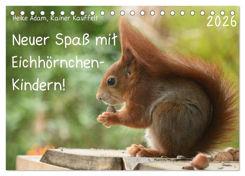 Neuer Spaß mit Eichhörnchen-Kindern (Tischkalender 2026 DIN A5 quer) CALVENDO Monatskalender