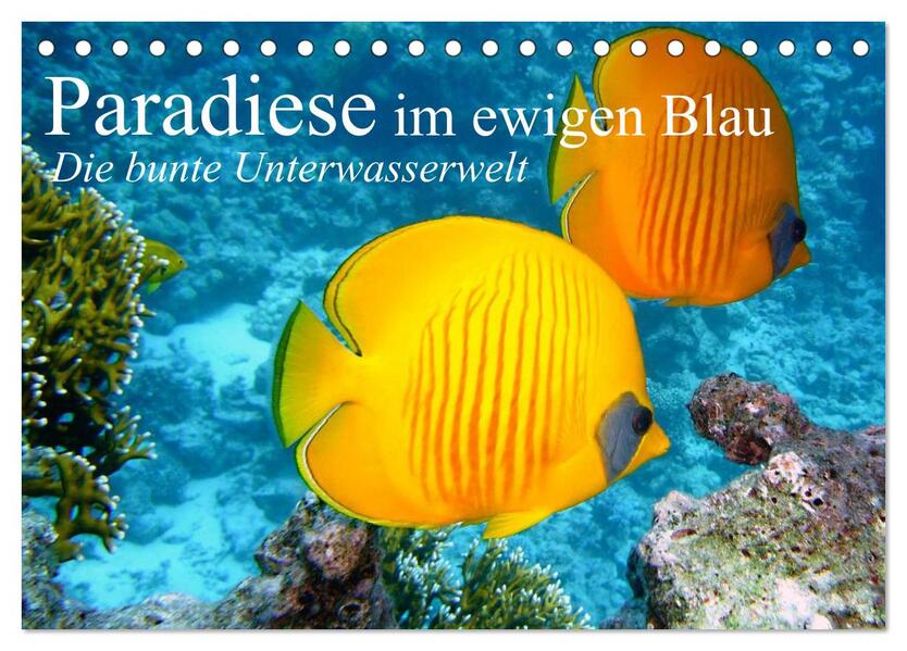 Paradiese im ewigen Blau. Die bunte Unterwasserwelt (Tischkalender 2026 DIN A5 quer) CALVENDO Monatskalender