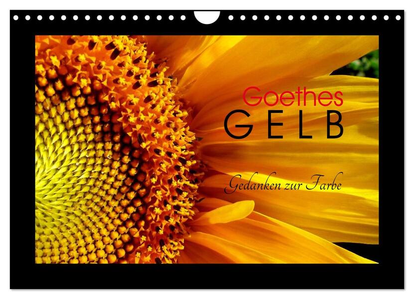 Goethes Gelb Gedanken zur Farbe (Wandkalender 2026 DIN A4 quer) CALVENDO Monatskalender