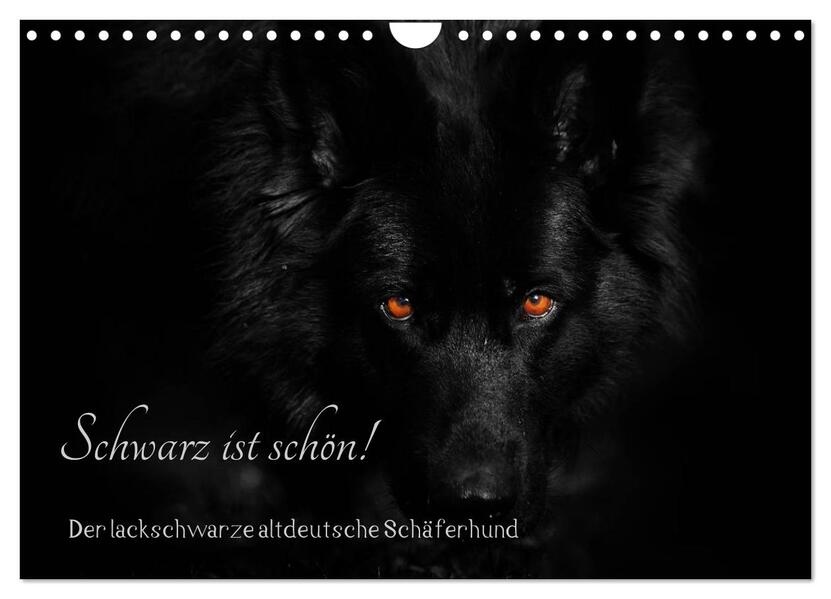 Schwarz ist schön! Der lackschwarze altdeutsche Schäferhund (Wandkalender 2026 DIN A4 quer) CALVENDO Monatskalender