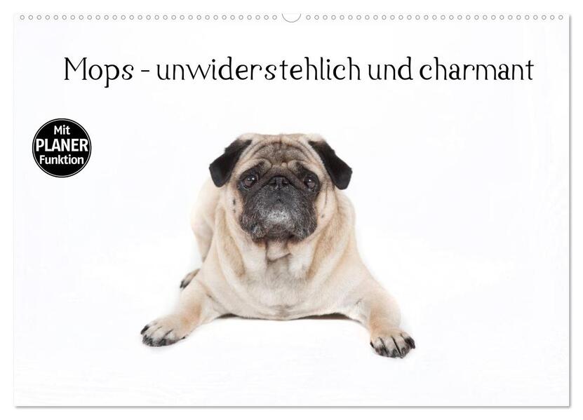 Mops - unwiderstehlich und charmant (Wandkalender 2026 DIN A2 quer) CALVENDO Monatskalender