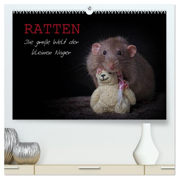 Ratten. Die große Welt der kleinen Nager (hochwertiger Premium Wandkalender 2026 DIN A2 quer) Kunstdruck in Hochglanz