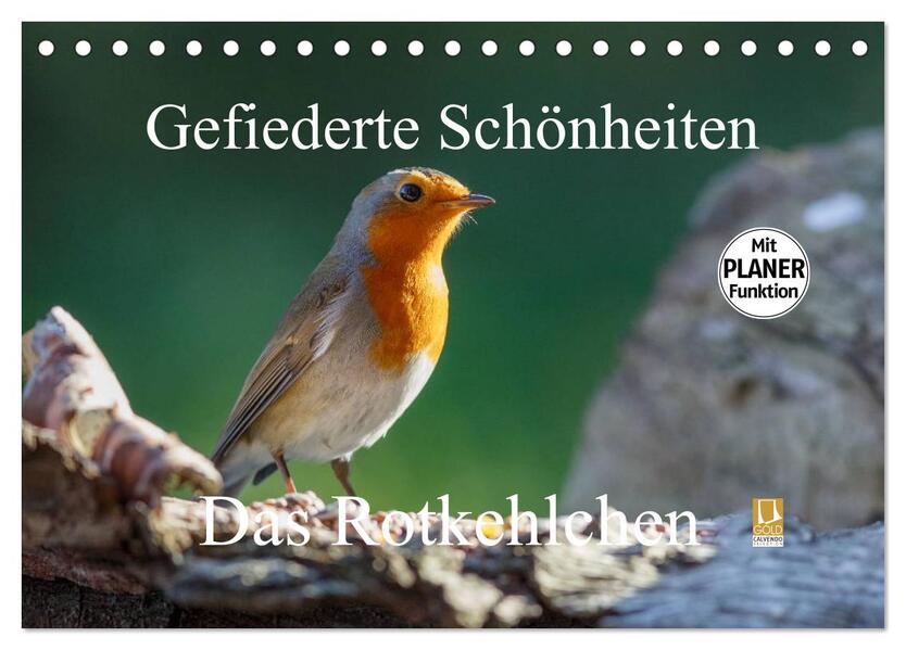 Gefiederte Schönheiten - Das Rotkehlchen / Planer (Tischkalender 2026 DIN A5 quer) CALVENDO Monatskalender