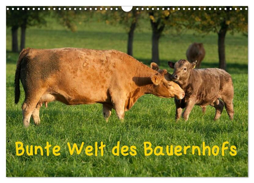 Bunte Welt des Bauernhofs (Wandkalender 2026 DIN A3 quer) CALVENDO Monatskalender