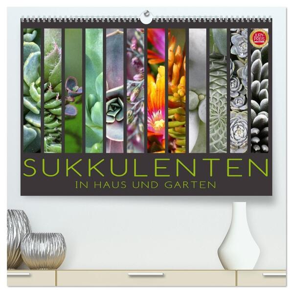 Sukkulenten in Haus und Garten (hochwertiger Premium Wandkalender 2026 DIN A2 quer) Kunstdruck in Hochglanz