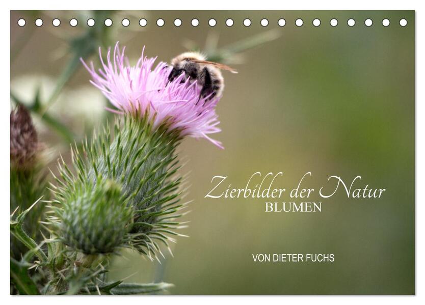 Zierbilder der Natur BLUMEN (Tischkalender 2026 DIN A5 quer) CALVENDO Monatskalender
