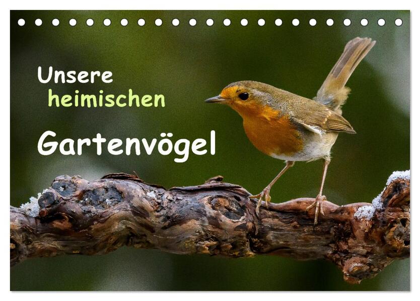 Unsere heimischen Gartenvögel (Tischkalender 2026 DIN A5 quer) CALVENDO Monatskalender