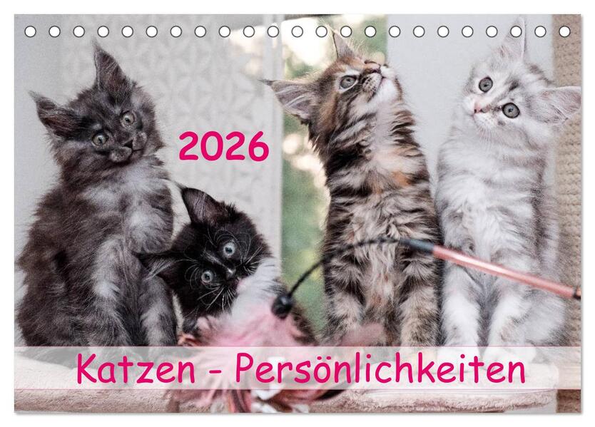 Katzen Persönlichkeiten 2026 (Tischkalender 2026 DIN A5 quer) CALVENDO Monatskalender