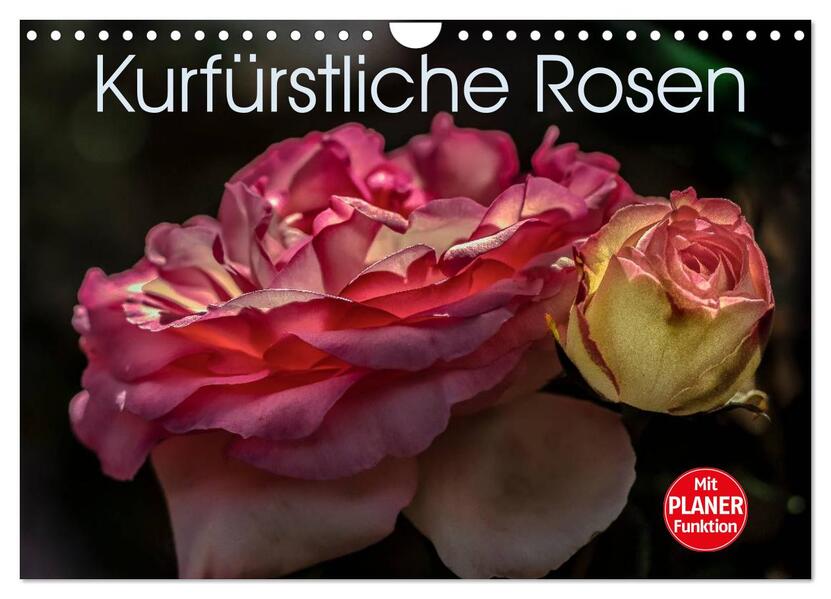 Kurfürstliche Rosen Eltville am Rhein (Wandkalender 2026 DIN A4 quer) CALVENDO Monatskalender