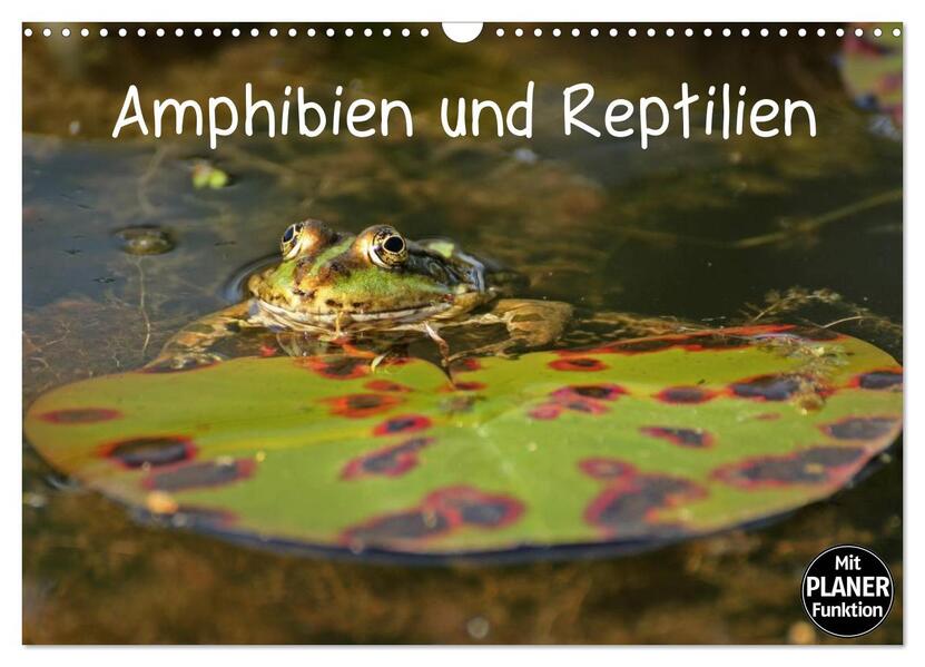 Amphibien und Reptilien (Wandkalender 2026 DIN A3 quer) CALVENDO Monatskalender