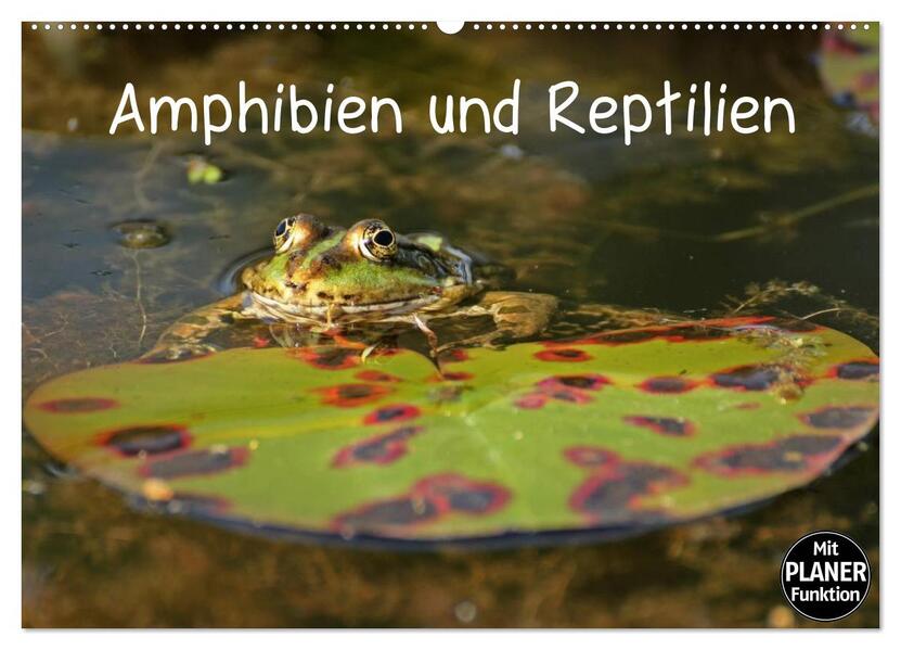 Amphibien und Reptilien (Wandkalender 2026 DIN A2 quer) CALVENDO Monatskalender