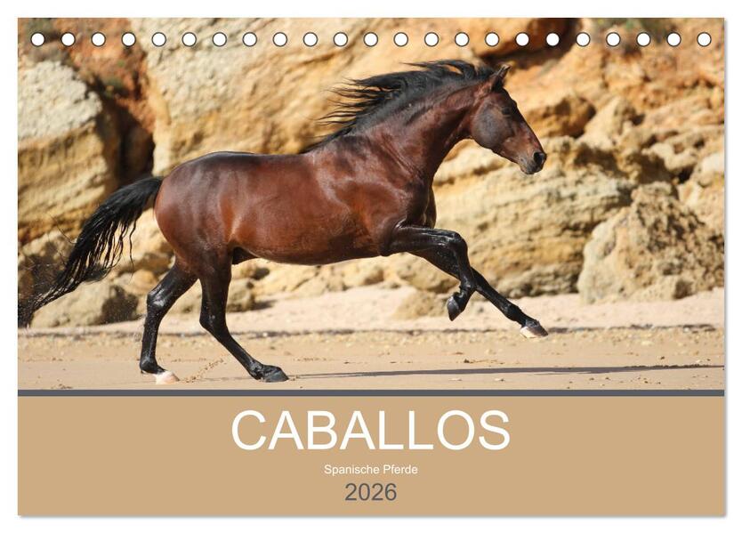 Caballos Spanische Pferde 2026 (Tischkalender 2026 DIN A5 quer) CALVENDO Monatskalender