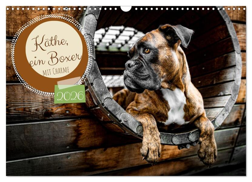 Käthe - ein Boxer mit Charme (Wandkalender 2026 DIN A3 quer) CALVENDO Monatskalender