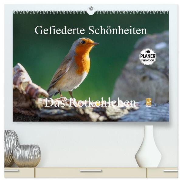 Gefiederte Schönheiten - Das Rotkehlchen / Planer (hochwertiger Premium Wandkalender 2026 DIN A2 quer) Kunstdruck in Hochglanz