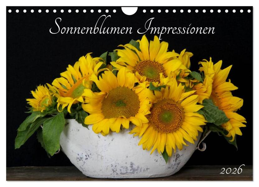 Sonnenblumen Impressionen (Wandkalender 2026 DIN A4 quer) CALVENDO Monatskalender