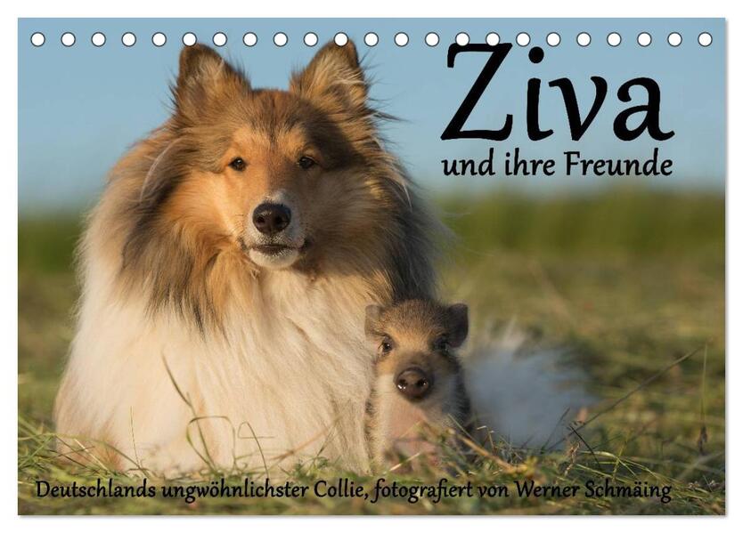 Ziva und ihre Freunde (Tischkalender 2026 DIN A5 quer) CALVENDO Monatskalender