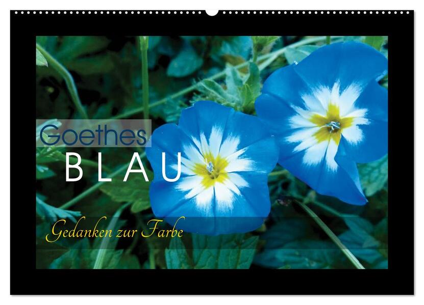 Goethes Blau. Gedanken zur Farbe (Wandkalender 2026 DIN A2 quer) CALVENDO Monatskalender
