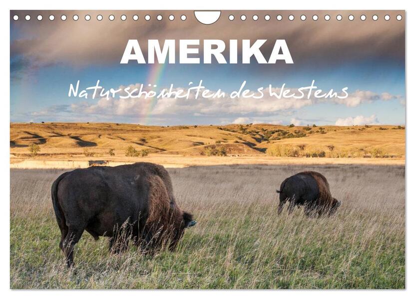 Amerika - Naturschönheiten des Westens (Wandkalender 2026 DIN A4 quer) CALVENDO Monatskalender