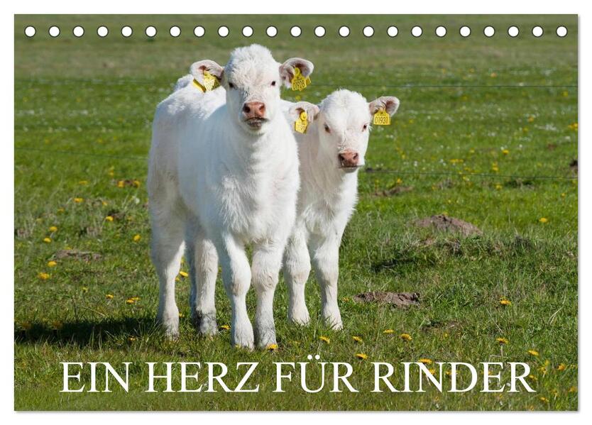 Ein Herz für Rinder (Tischkalender 2026 DIN A5 quer) CALVENDO Monatskalender