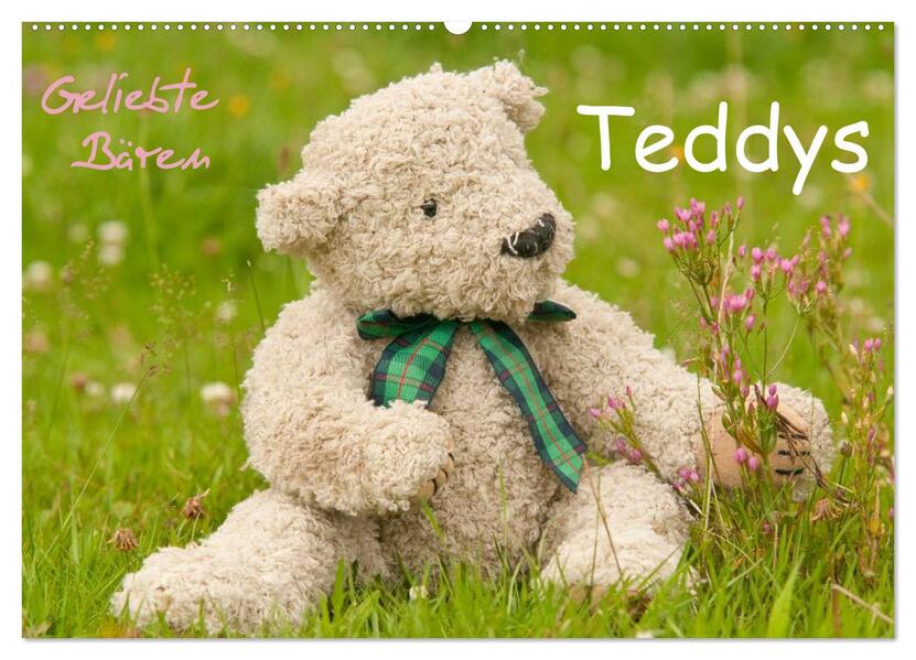 Geliebte Bären - Teddys (Wandkalender 2026 DIN A2 quer) CALVENDO Monatskalender