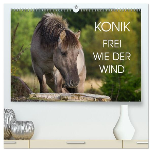 Konik - Frei geboren (hochwertiger Premium Wandkalender 2026 DIN A2 quer) Kunstdruck in Hochglanz