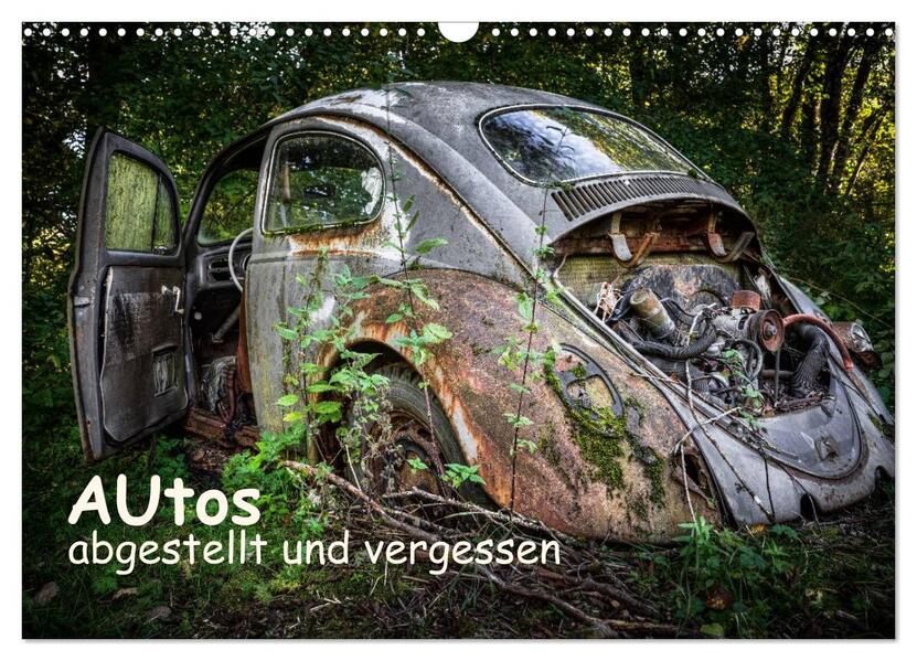 Autos abgestellt und vergessen (Wandkalender 2026 DIN A3 quer) CALVENDO Monatskalender