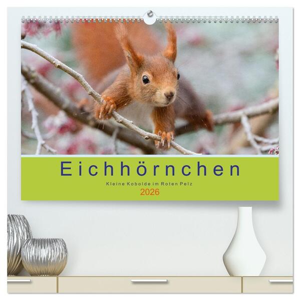 Eichhörnchen - Kleine Kobolde im Roten Pelz (hochwertiger Premium Wandkalender 2026 DIN A2 quer) Kunstdruck in Hochglanz