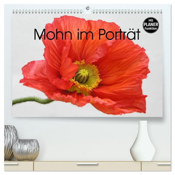 Mohn im Porträt (hochwertiger Premium Wandkalender 2026 DIN A2 quer) Kunstdruck in Hochglanz