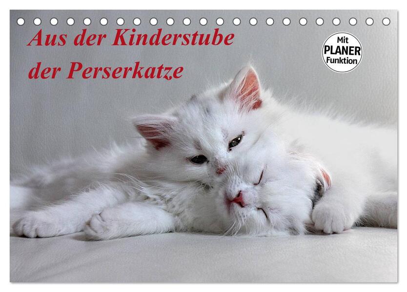 Aus der Kinderstube der Perserkatze (Tischkalender 2026 DIN A5 quer) CALVENDO Monatskalender