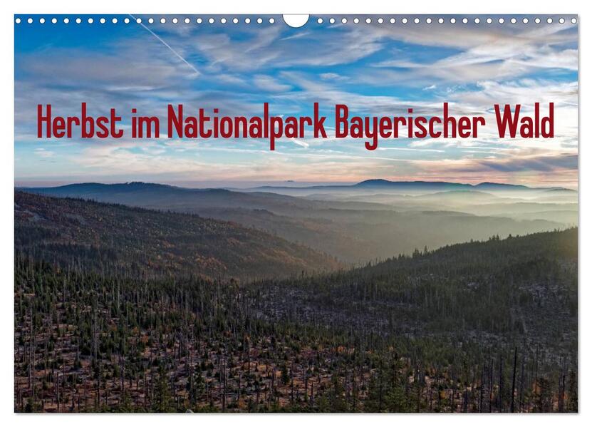 Herbst im Nationalpark Bayerischer Wald (Wandkalender 2026 DIN A3 quer) CALVENDO Monatskalender