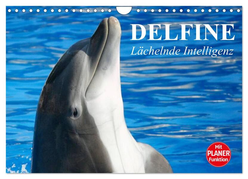 Delfine - Lächelnde Intelligenz (Wandkalender 2026 DIN A4 quer) CALVENDO Monatskalender