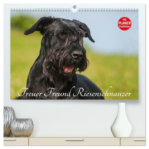 Treuer Freund Riesenschnauzer (hochwertiger Premium Wandkalender 2026 DIN A2 quer) Kunstdruck in Hochglanz