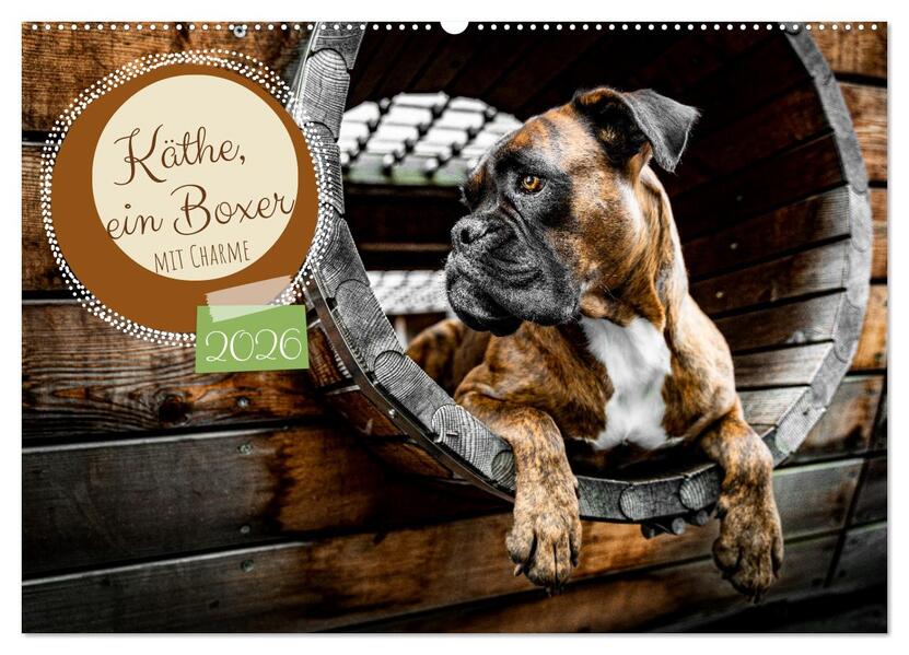Käthe - ein Boxer mit Charme (Wandkalender 2026 DIN A2 quer) CALVENDO Monatskalender