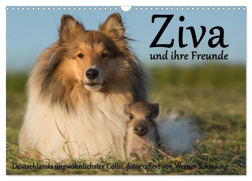 Ziva und ihre Freunde (Wandkalender 2026 DIN A3 quer) CALVENDO Monatskalender