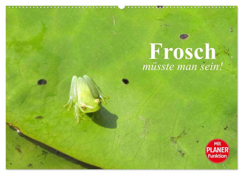 Frosch müsste man sein! (Wandkalender 2026 DIN A2 quer) CALVENDO Monatskalender