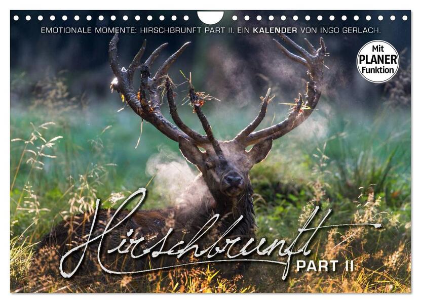 Emotionale Momente: Hirschbrunft. Part II. (Wandkalender 2026 DIN A4 quer) CALVENDO Monatskalender