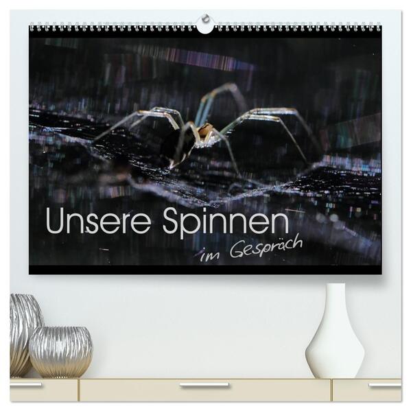 Unsere Spinnen - im Gespräch (hochwertiger Premium Wandkalender 2026 DIN A2 quer) Kunstdruck in Hochglanz