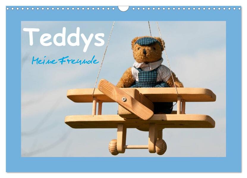 Teddys Meine Freunde (Wandkalender 2026 DIN A3 quer) CALVENDO Monatskalender