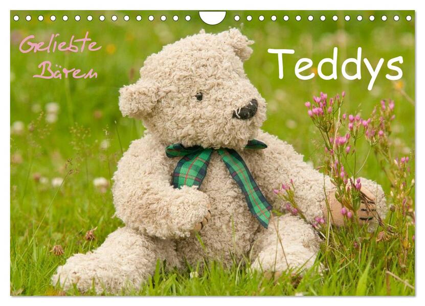 Geliebte Bären - Teddys (Wandkalender 2026 DIN A4 quer) CALVENDO Monatskalender