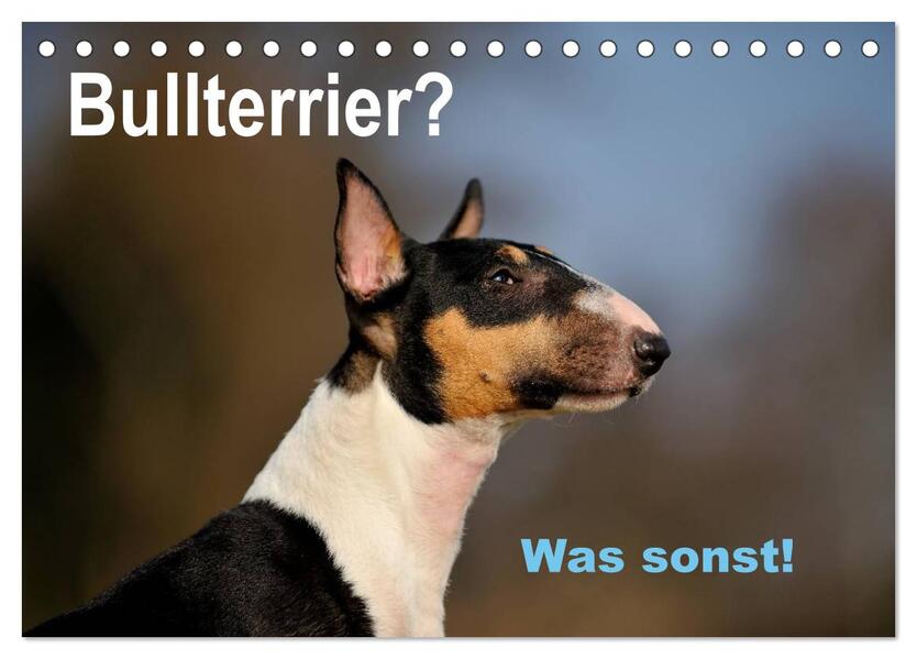 Bullterrier? Was sonst! (Tischkalender 2026 DIN A5 quer) CALVENDO Monatskalender