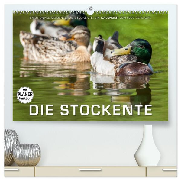Emotionale Momente: Die Stockente. (hochwertiger Premium Wandkalender 2026 DIN A2 quer) Kunstdruck in Hochglanz