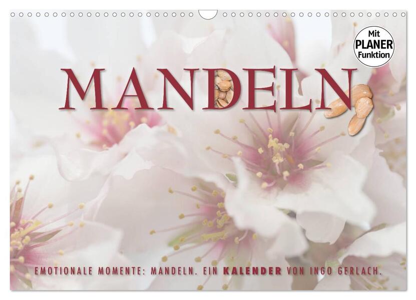 Emotionale Momente: Mandeln (Wandkalender 2026 DIN A3 quer) CALVENDO Monatskalender