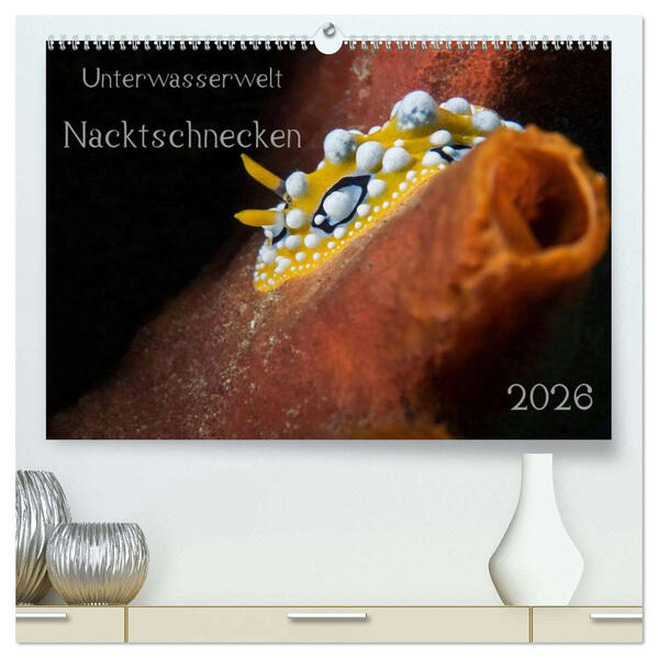 Unterwasserwelt Nacktschnecken (hochwertiger Premium Wandkalender 2026 DIN A2 quer) Kunstdruck in Hochglanz
