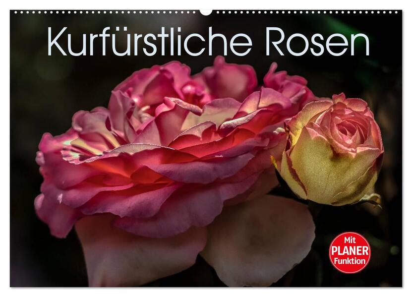 Kurfürstliche Rosen Eltville am Rhein (Wandkalender 2026 DIN A2 quer) CALVENDO Monatskalender