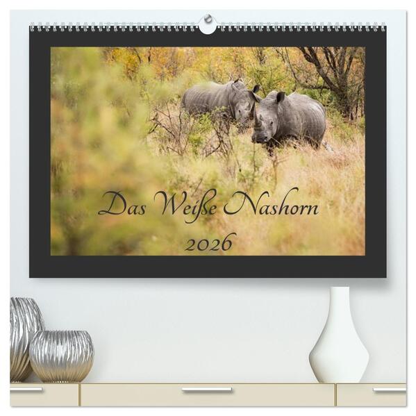 Das Weiße Nashorn (hochwertiger Premium Wandkalender 2026 DIN A2 quer) Kunstdruck in Hochglanz