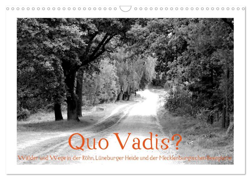 Quo Vadis? Wälder und Wege in der Röhn Lüneburger Heide und der Mecklenburgischen Seenplatte (Wandkalender 2026 DIN A3 quer) CALVENDO Monatskalender