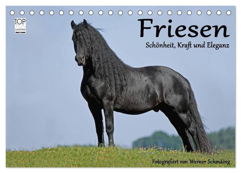 Friesen - Schönheit Kraft und Eleganz (Tischkalender 2026 DIN A5 quer) CALVENDO Monatskalender